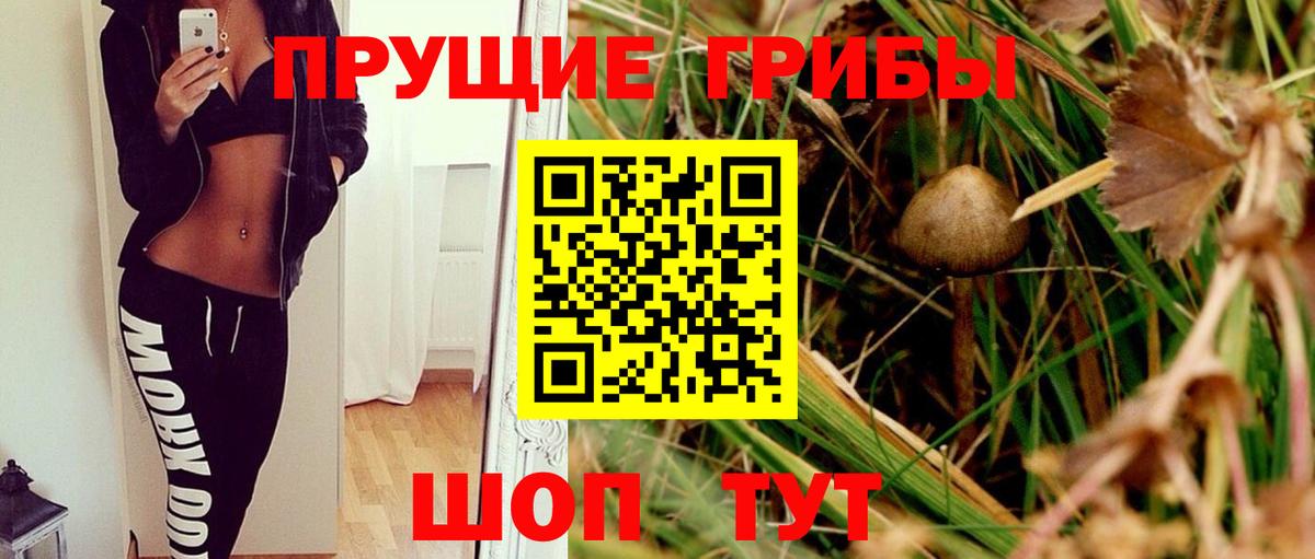 Псилоцибиновые грибы прущие грибы  купить наркотик  Вход с VPN  Нижний Тагил  Галлюциногенные грибы Cubensis 